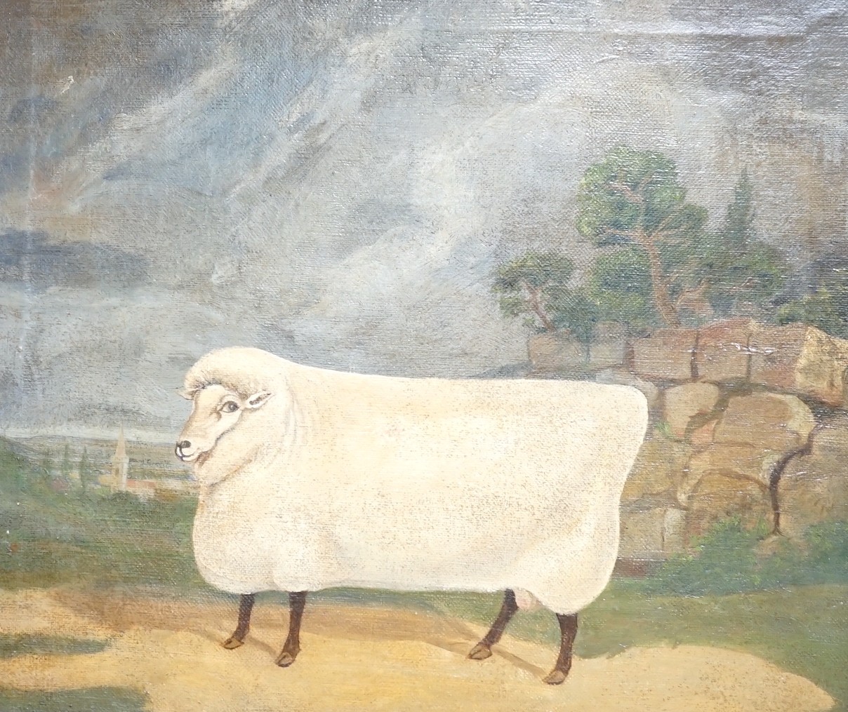 19th century English School, oil on canvas, Primitive study of a 'Prize Ram', 30 x 35cm